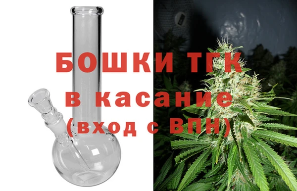 эйфоретик Аркадак