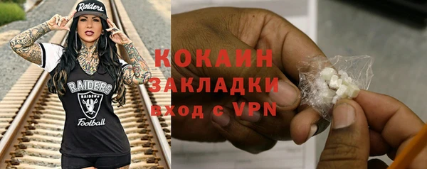 дживик Ельня