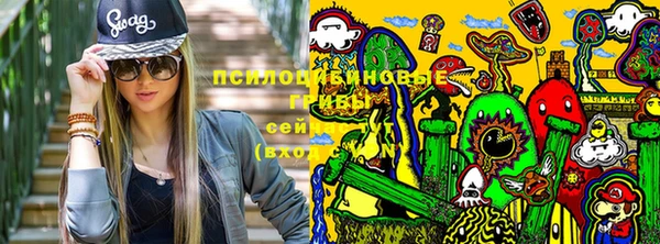 эйфоретик Аркадак