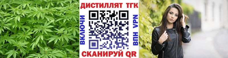 дарнет шоп  Кондрово  Дистиллят ТГК THC oil 
